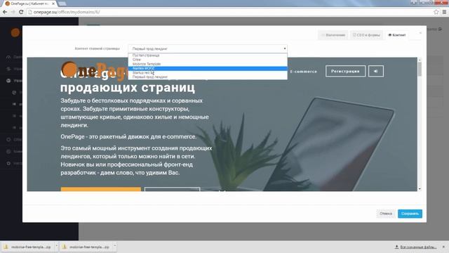 OnePage.su - инструкция по работе в разделе домены смотреть онлайн