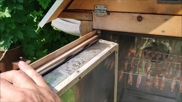 Чистота: инвестиция в гармонию и покой