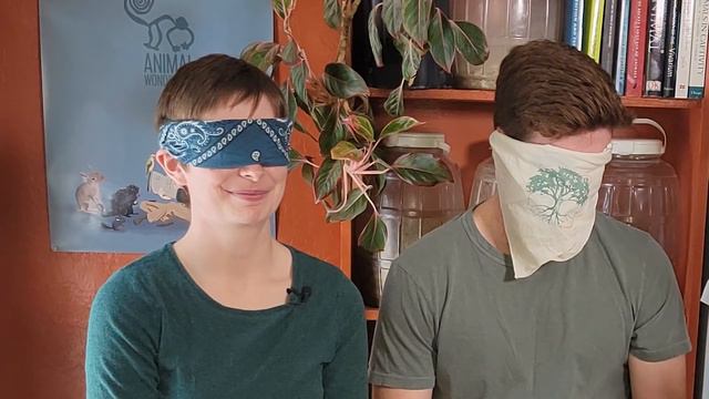 Guess The Animal By Sound! | New Keeper!