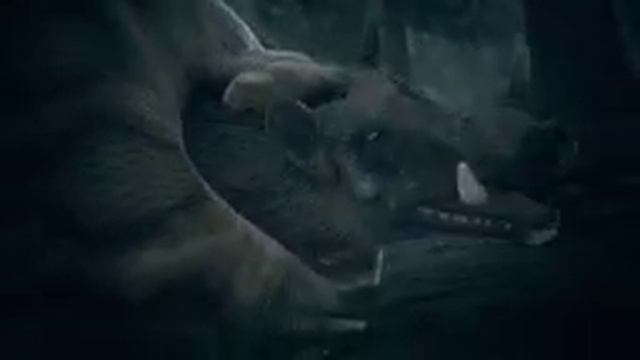 в руках палка в ушах ветер .успешный род макак (часть 3) смотреть онлайн