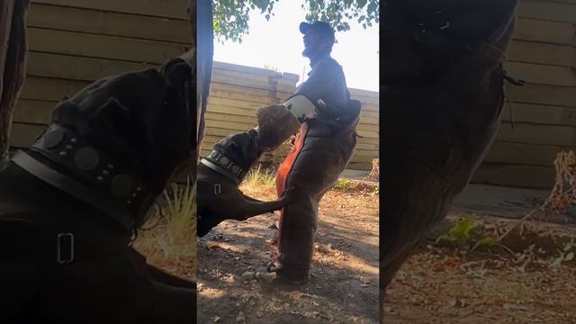 Разминка?tttt cane canecorso канекорсо canecorsoitaliano канекорсоитальяно