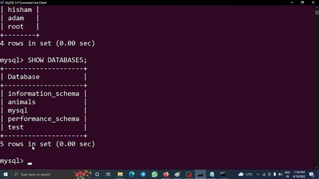 DCL Commands in SQL - GRANT & REVOKE - Data Control Language in Structured Query Language смотреть онлайн