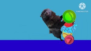 Летние заставки карусель 20