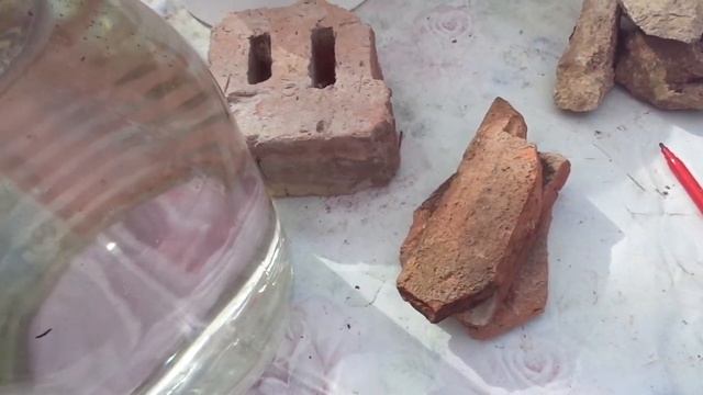 Сад без полива. (