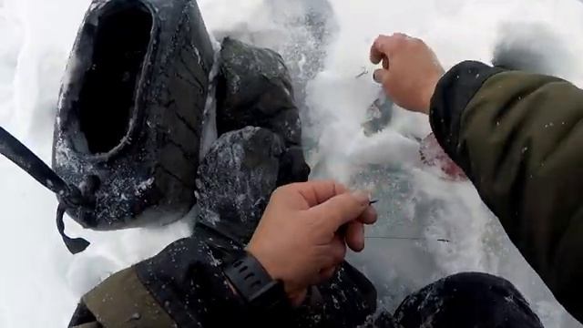 Рыбалка 2021! Клёв Щуки в Мороз, просто Жесть..! Рыбалка на жерлицы - 1 день!! смотреть онлайн