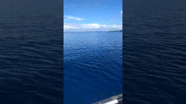 VID 20170812 111344 смотреть онлайн