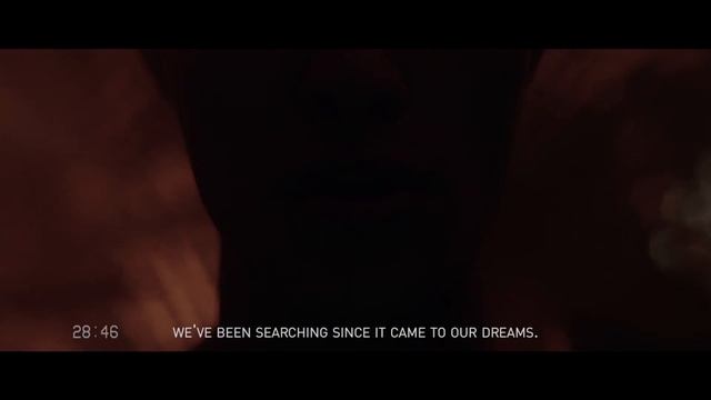 VALENTINO PANTHER COLLECTION смотреть онлайн