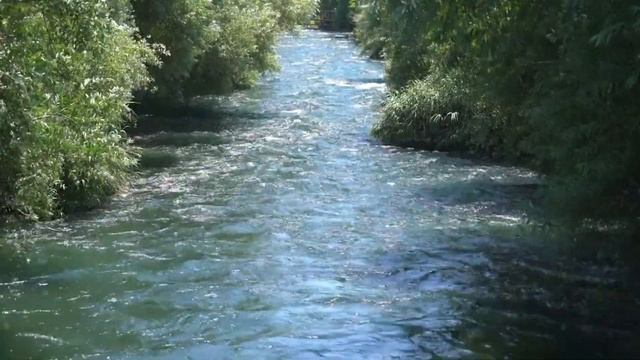 Nature beauty/Прекрасная природа/Прекрасная музыка/Beautiful music смотреть онлайн