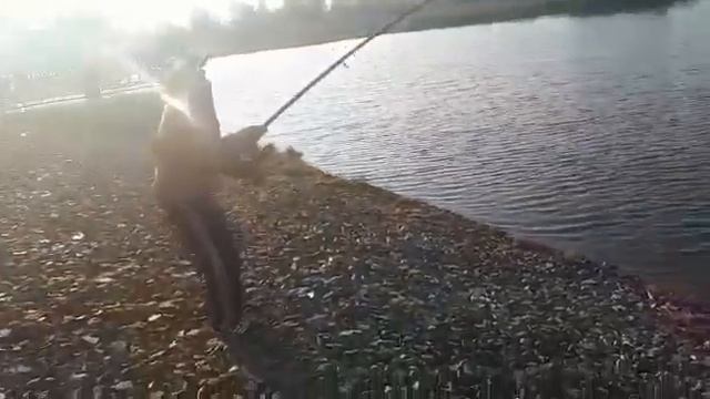 Ну как рыбалка в Альметьевске смотреть онлайн