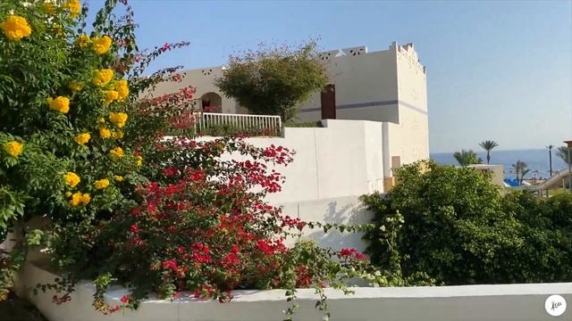 Атмосфера Отдыха: Мой Отель, Пальмы и много Солнца - Egypt Vlog, pr.2 смотреть онлайн