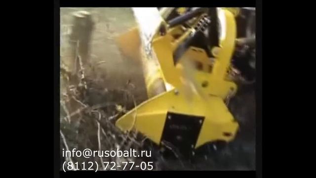 Orsi Group W Forrest смотреть онлайн