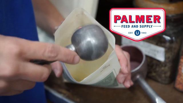 Palmer BulkSeedsHD смотреть онлайн