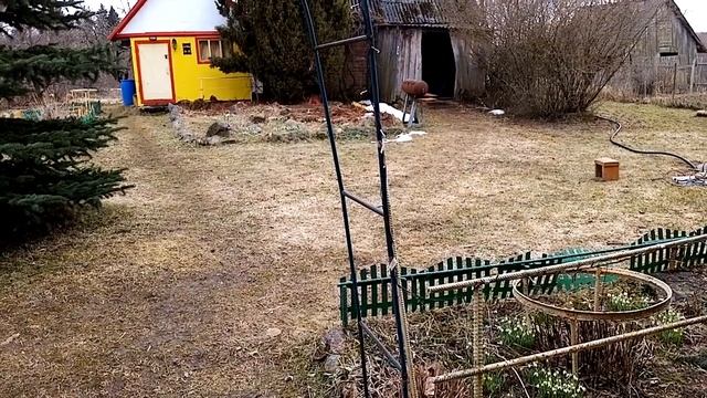 обработка крыжовника кипятком смотреть онлайн