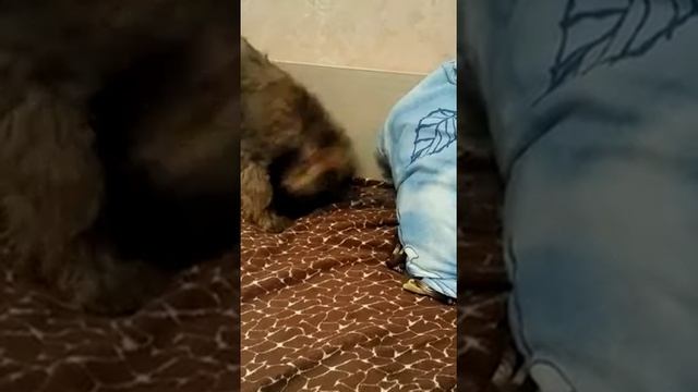 Когда надо делать запасы на зиму... смотреть онлайн