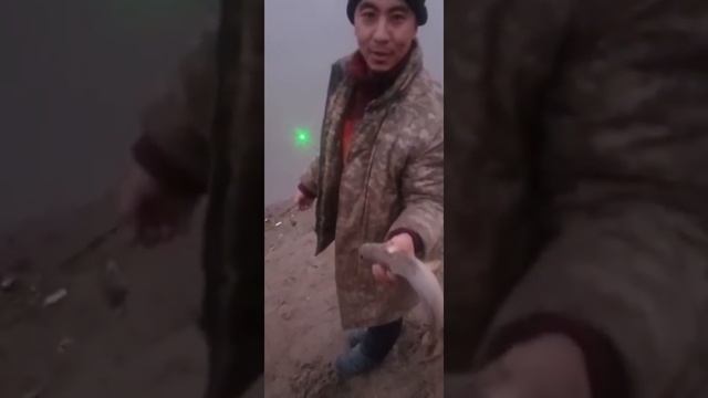 Рыбалка шардара | рыбалка | рыбалка на сазана | рыбалка с начеёвкой| рыбалка Казахстан смотреть онлайн