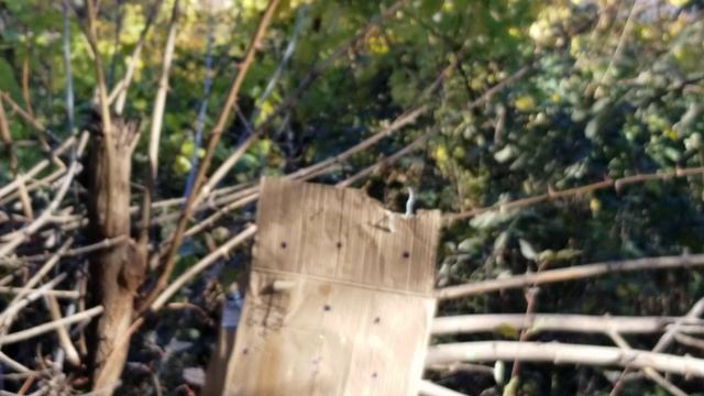 Что такое сайзер и счем его кушать)))) Мурка на связи!