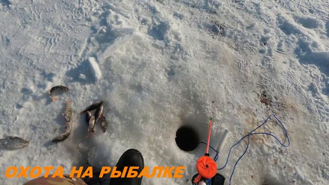 Весенняя рыбалка с эхолотом эр6 про2 на чертика -30 в середине марта. смотреть онлайн