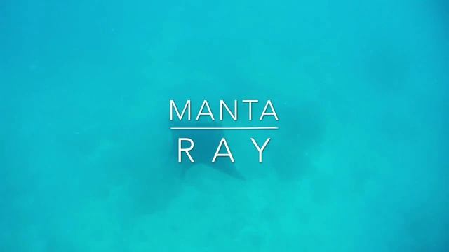 Boring GoPro bits from Fiji with a groovy soundtrack смотреть онлайн
