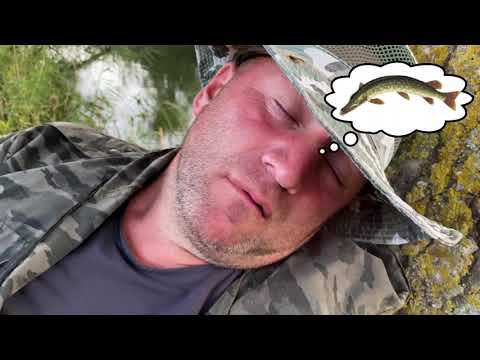 Репортер Зиявдин