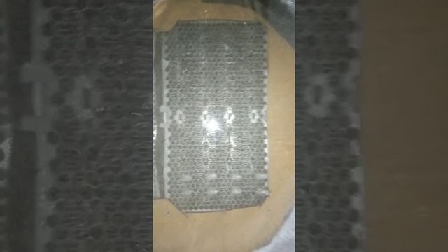 асик дома, шума 0 смотреть онлайн