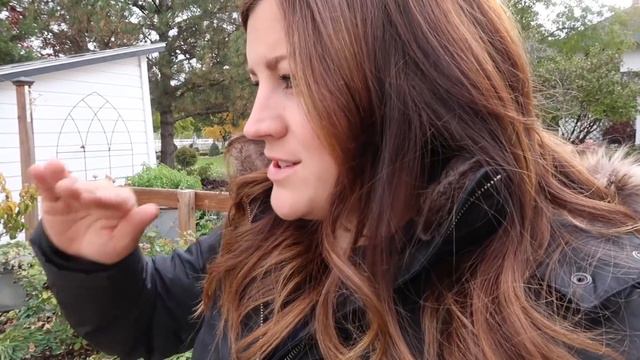 Planting Hydrangeas, Fixing the Chicken Coop, & Planting a Couple Pots! 🌿🥰🍂// Garden Answer смотреть онлайн