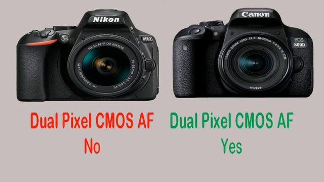 Nikon D5600 vs Canon 800D Simple and Best Review смотреть онлайн