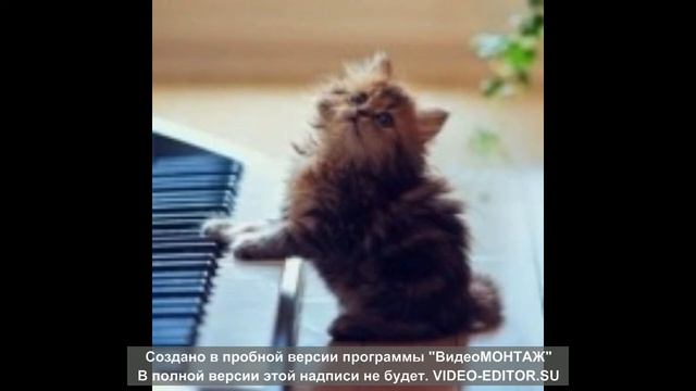 Без тебе неможу спати смотреть онлайн