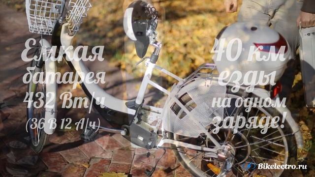 Dacha 350W