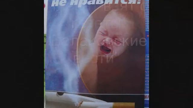 Отчет смотреть онлайн