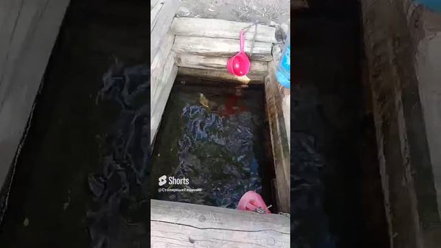 святой источник.💧☦️💧.mp4 смотреть онлайн