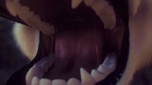 zoe vore 9 (cakeinferno)