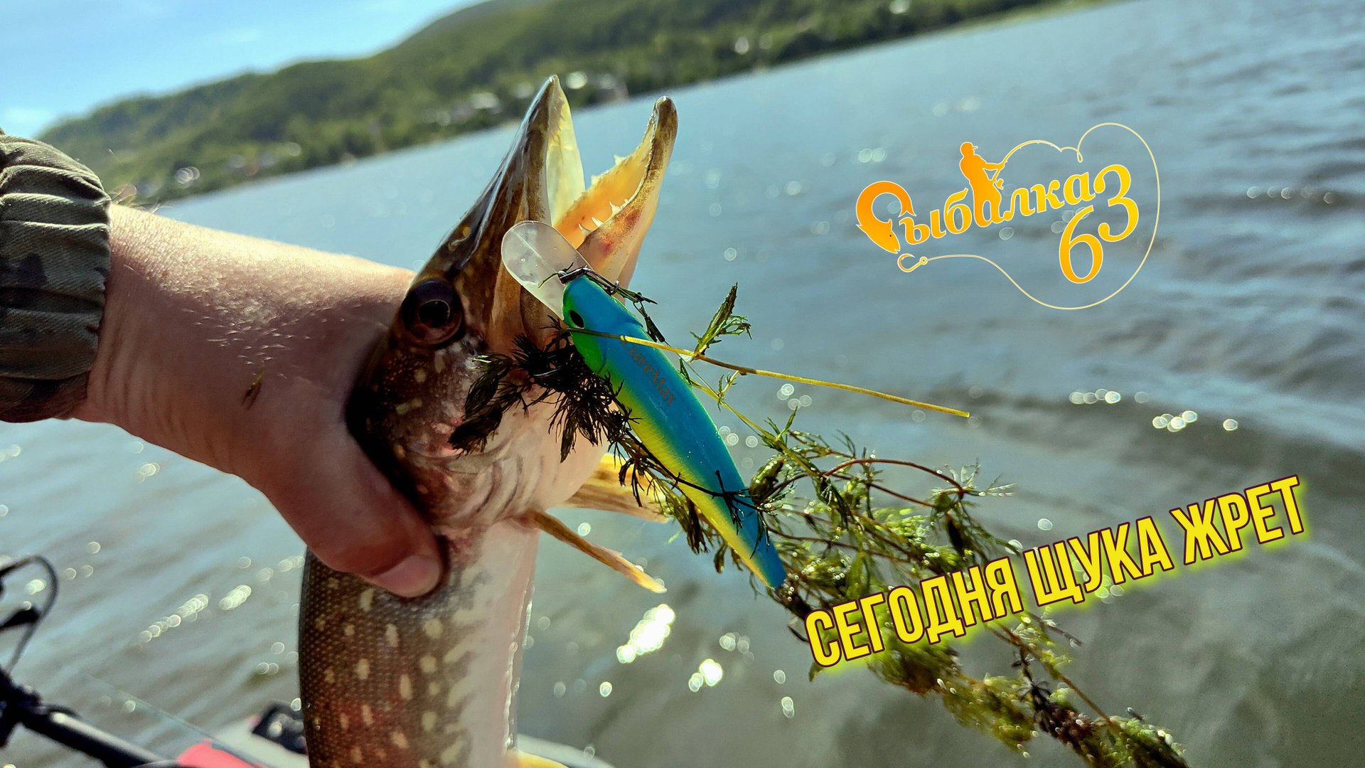 СЕГОДНЯ ЩУКА ЖРЕТ ЗЕЛЕНЫЕ ЦВЕТА. ПОДОБРАЛИ ЦВЕТ И ПОШЕЛ КЛЕВ. ДАЖЕ ОКУНЬ НЕ ПРОЧЬ СОЖРАТЬ ВОБЛЕР смотреть онлайн