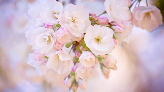 Во время обхода в роддоме врач увидел плачущую девушку после родов. Истории из жизни. смотреть онлайн