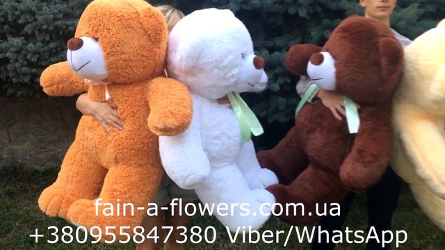 100 см мишка 3-4 цвета вместе смотреть онлайн