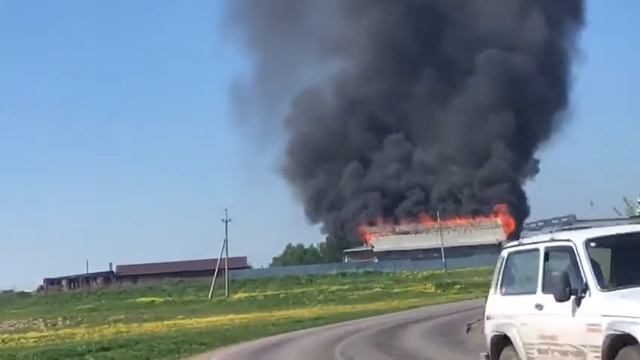 Пожар площадью 300 кв.м. произошел в частном свинарнике в Кузбассе/VSE42Ru смотреть онлайн