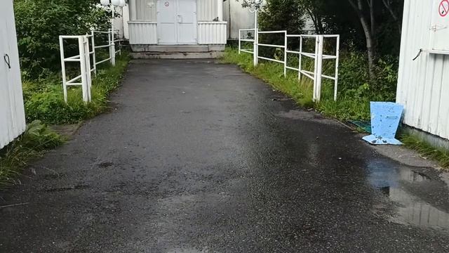 ДЕЛЬФИНАРИЙ В МУРМАНСКЕ НЕ РАБОТАЕТ С НАЧАЛА 2022 ГОДА смотреть онлайн