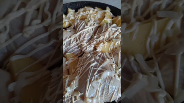 Эхинацея пурпурная