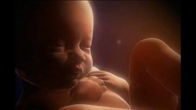 Права человека глазами молодежи смотреть онлайн