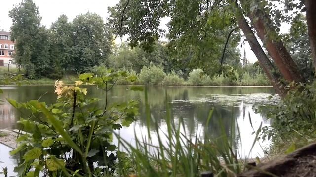 ЖК Зеленоградский | деревня Голубое смотреть онлайн