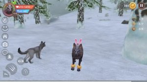 ВСЯ ПРАВДА о Ibeta125 в Wildcraft