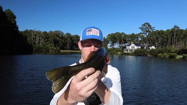 Fishing a CHATTERBAIT in an AMAZING Private Pond!!! | Fall Bass Fishing смотреть онлайн