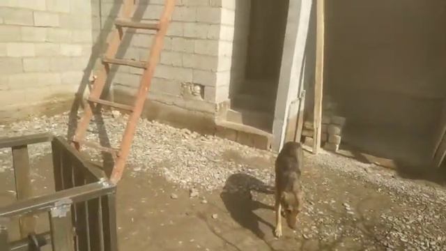 электрическая каменная печь. смотреть онлайн