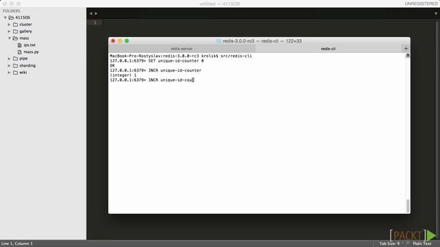 Building Databases with Redis Tutorial: Introducing an Image Gallery Application | packtpub.com смотреть онлайн