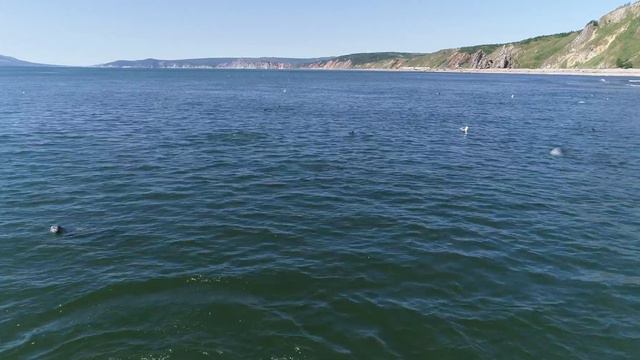 Магадан 27 07 Нюкля 22222 DJI 0241 смотреть онлайн