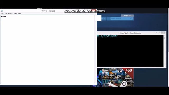 Steam Wallet Database смотреть онлайн