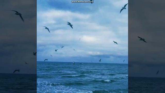 ТАМБЛЕР| Tambler Bitch | Картинки для вдохновения смотреть онлайн