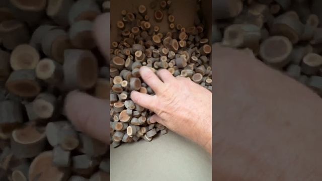 Почему лучше всего идут мелкие #спилы и #срезы