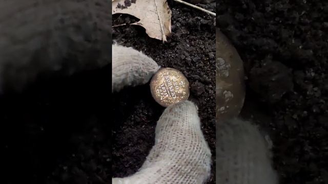 Нашёл в старинном лесу царское серебро с металлоискателем ака сорекс #клад #металлоискатель #коп смотреть онлайн