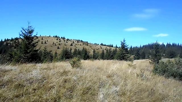 Карпаты - горы, которые находятся на западе нашей страны! смотреть онлайн