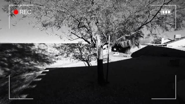 Чуть не купили гараж у @P-G "Акуна Матата и КП на КПГ" смотреть онлайн